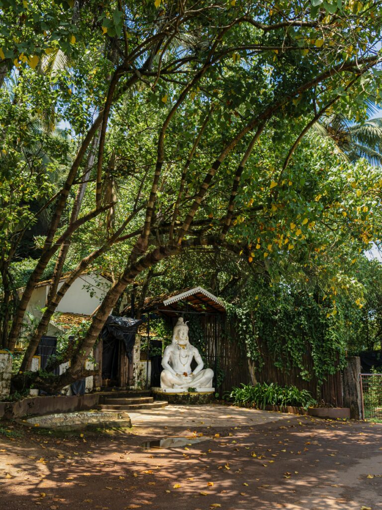 A tranquil Shiva statue under lush trees in a Goa village, perfect for meditation and spirituality themes.